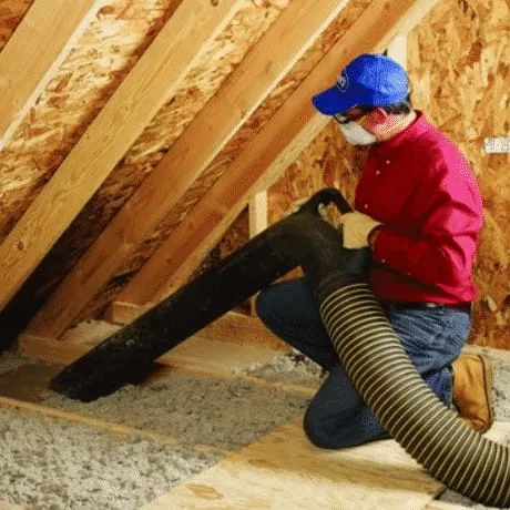 Ceiling Vacuum & Insulation