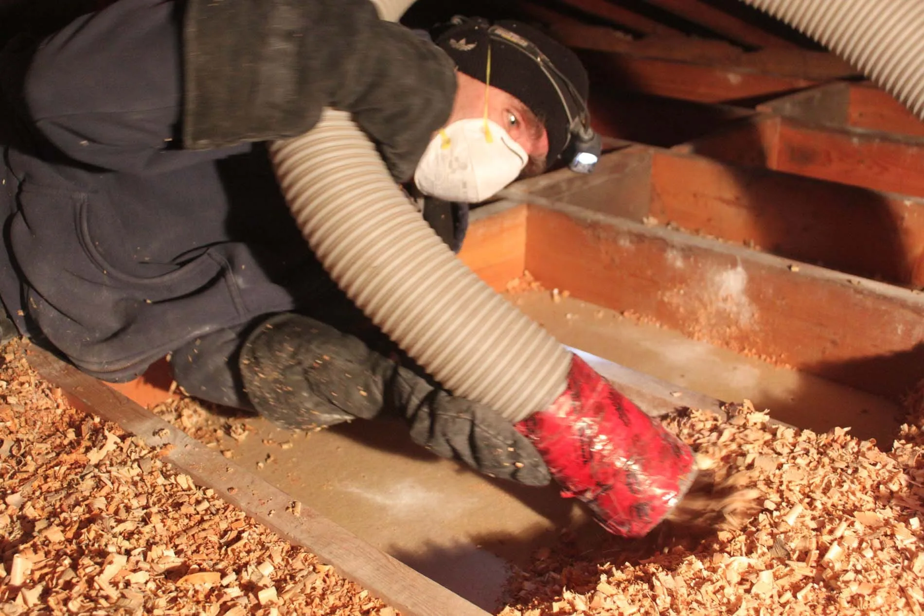 Ceiling Vacuum & Insulation