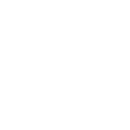 Service Icon