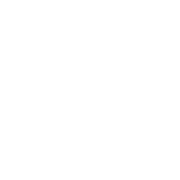 Service Icon