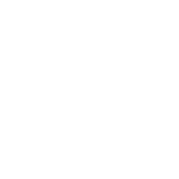 Service Icon