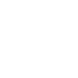 Service Icon